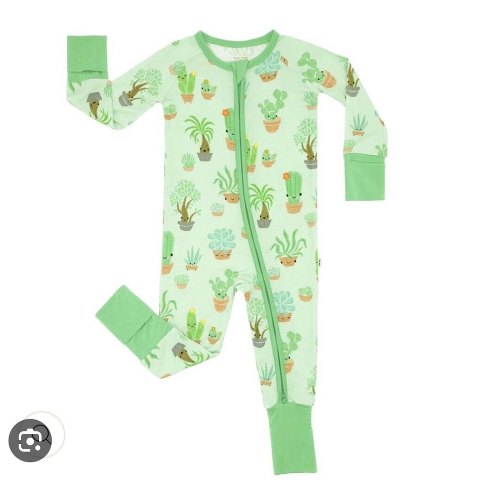 Little sleepies succulent love zippy